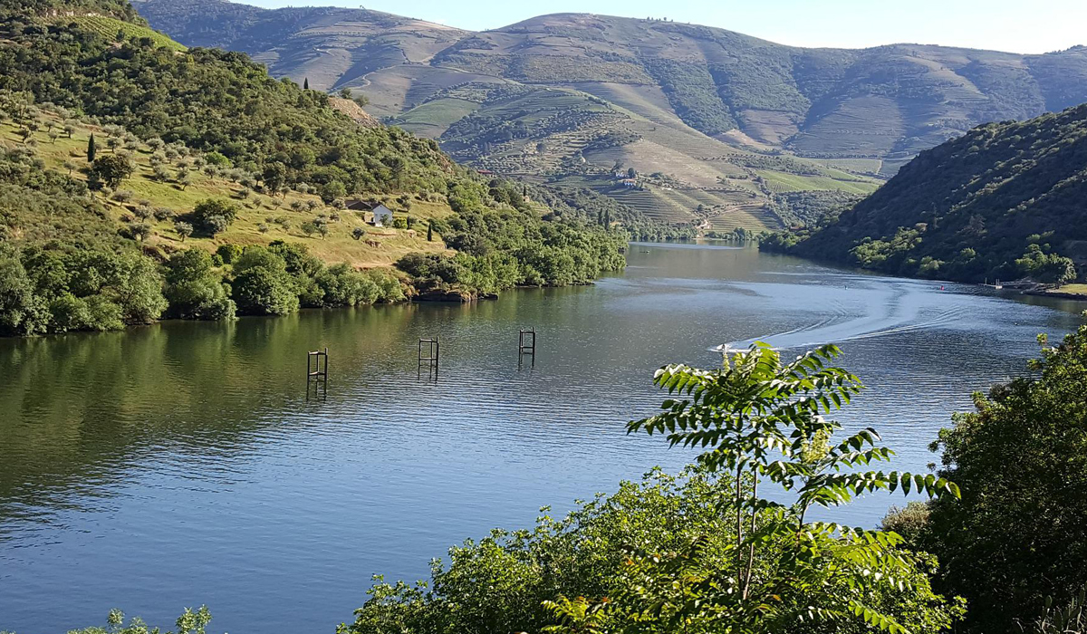 vallée-du-douro-circuit-touristique