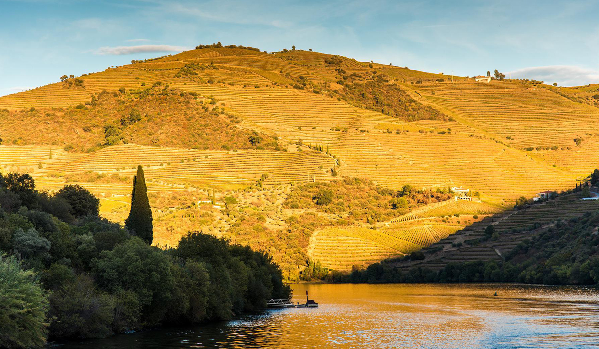 valle-del-duero-Portugal