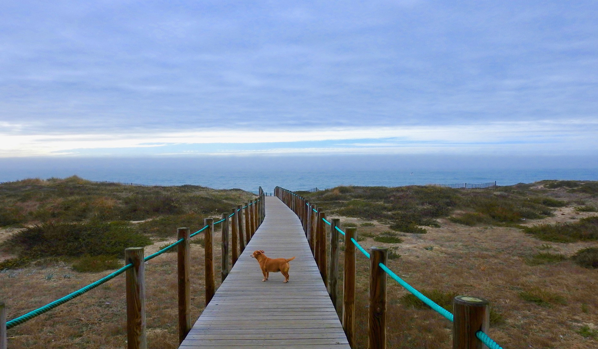 ville-d-esposende-nord-du-Portugal