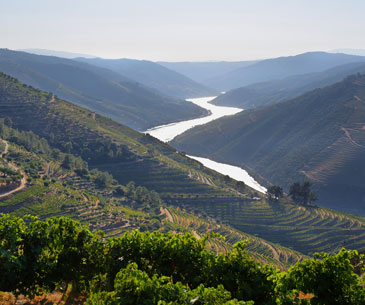 douro-valley-tourist-circuit